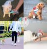 Portable Pet Water Bottle with Food Container - Leakproof Travel Water Dispenser & Collapsible Food Storage for Dogs, Cats, Outdoor Activities